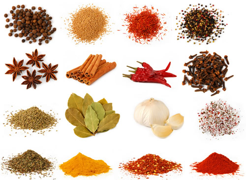 10-调味品烘干机